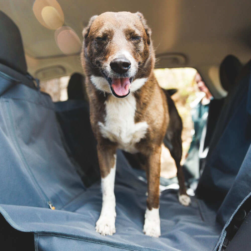 Ruffwear Dirtbag™ Car Seat Cover