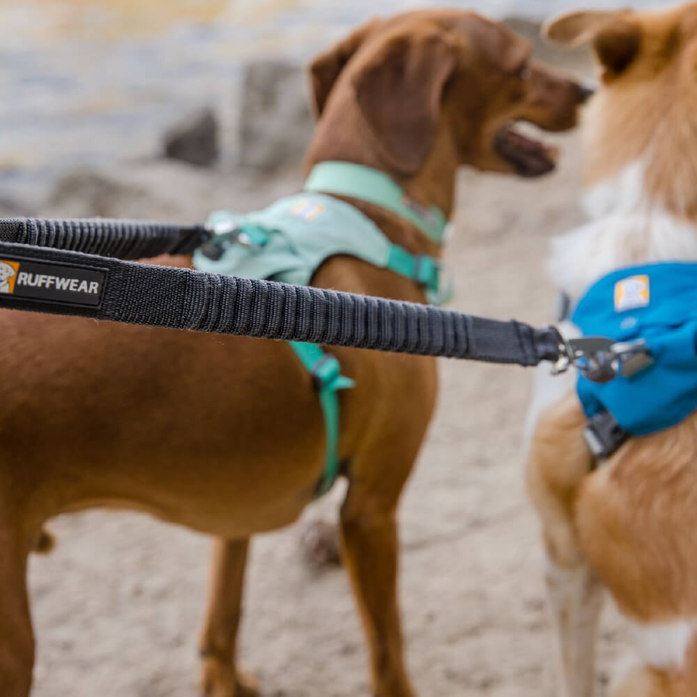 Ruffwear Double Track™ Dog Leash Coupler