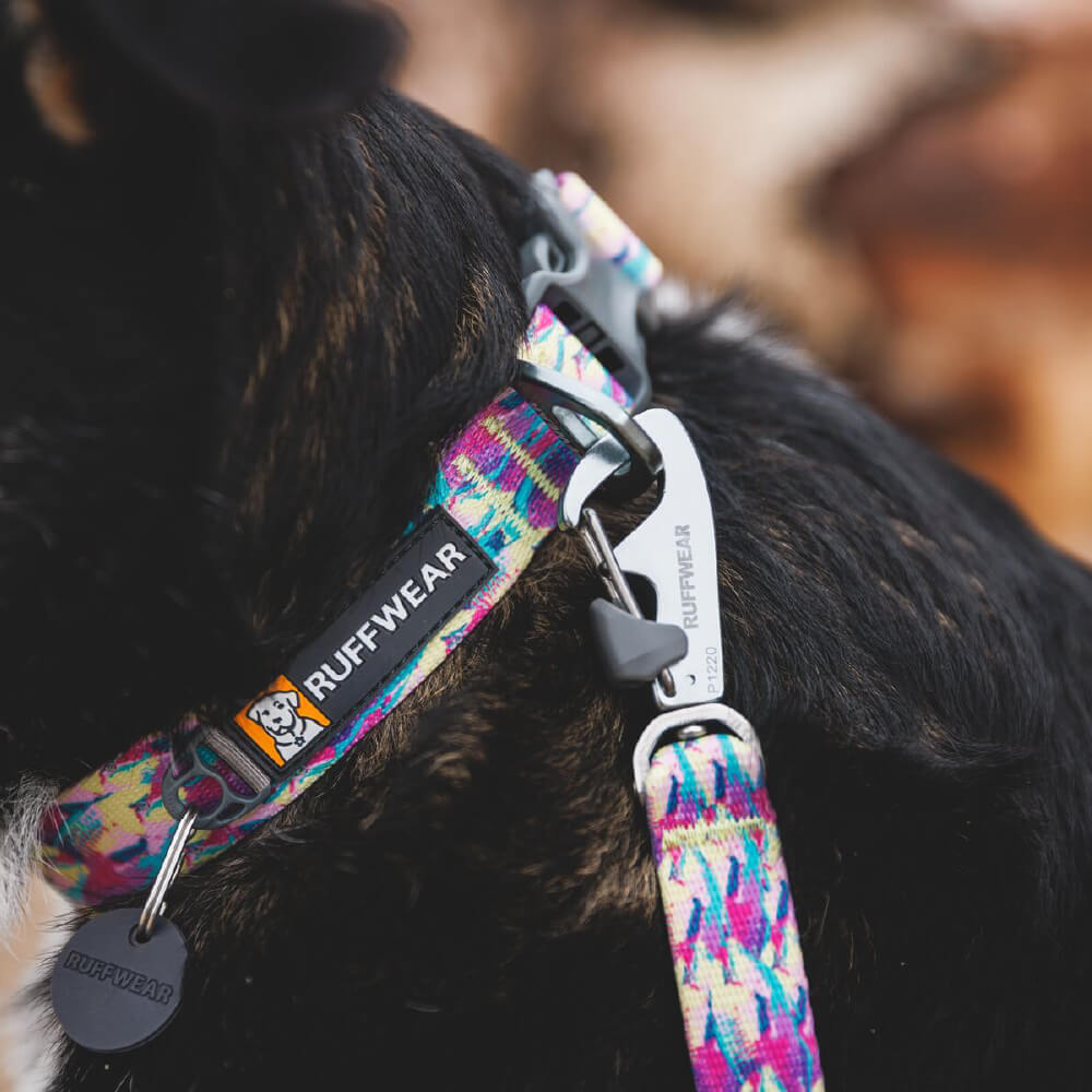 Ruffwear Front Range™ Collar