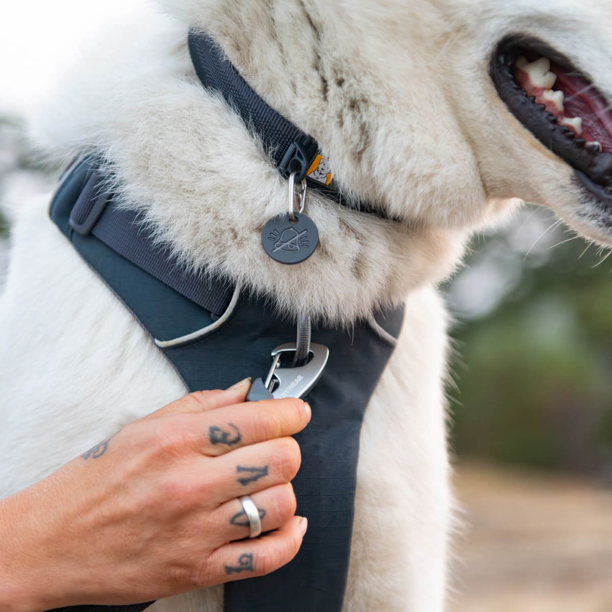 Ruffwear Front Range No Pull Everyday Dog Harness