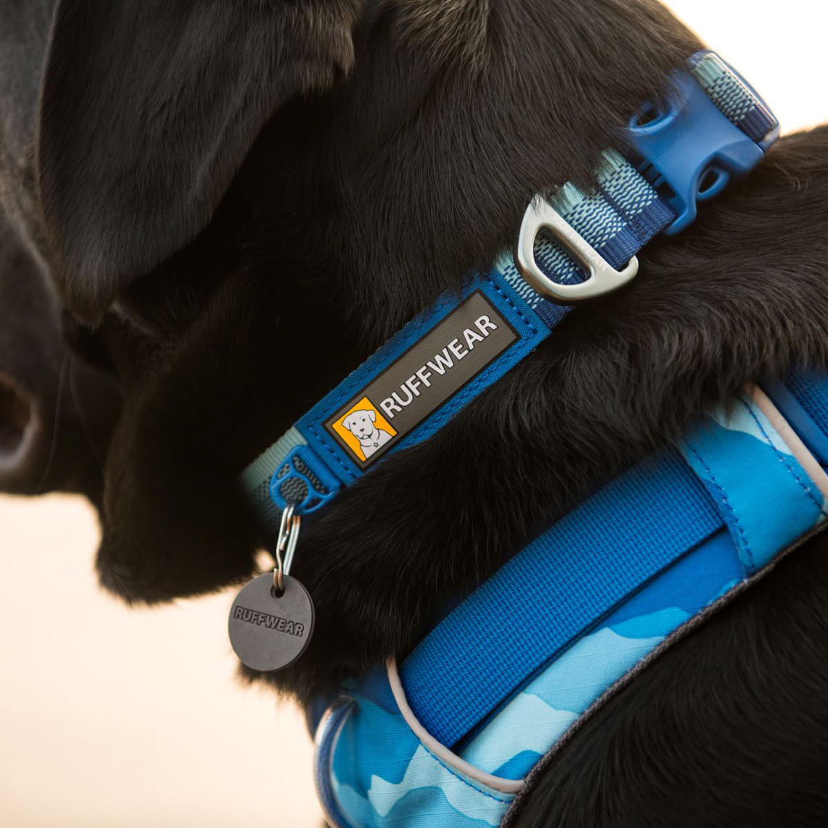 Ruffwear Front Range No Pull Everyday Dog Harness