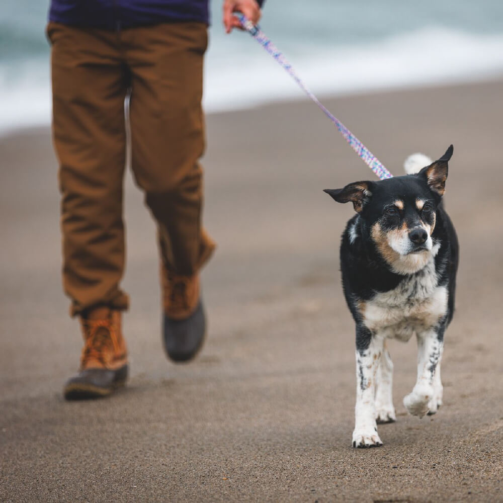 Ruffwear Front Range™ Dog Leash