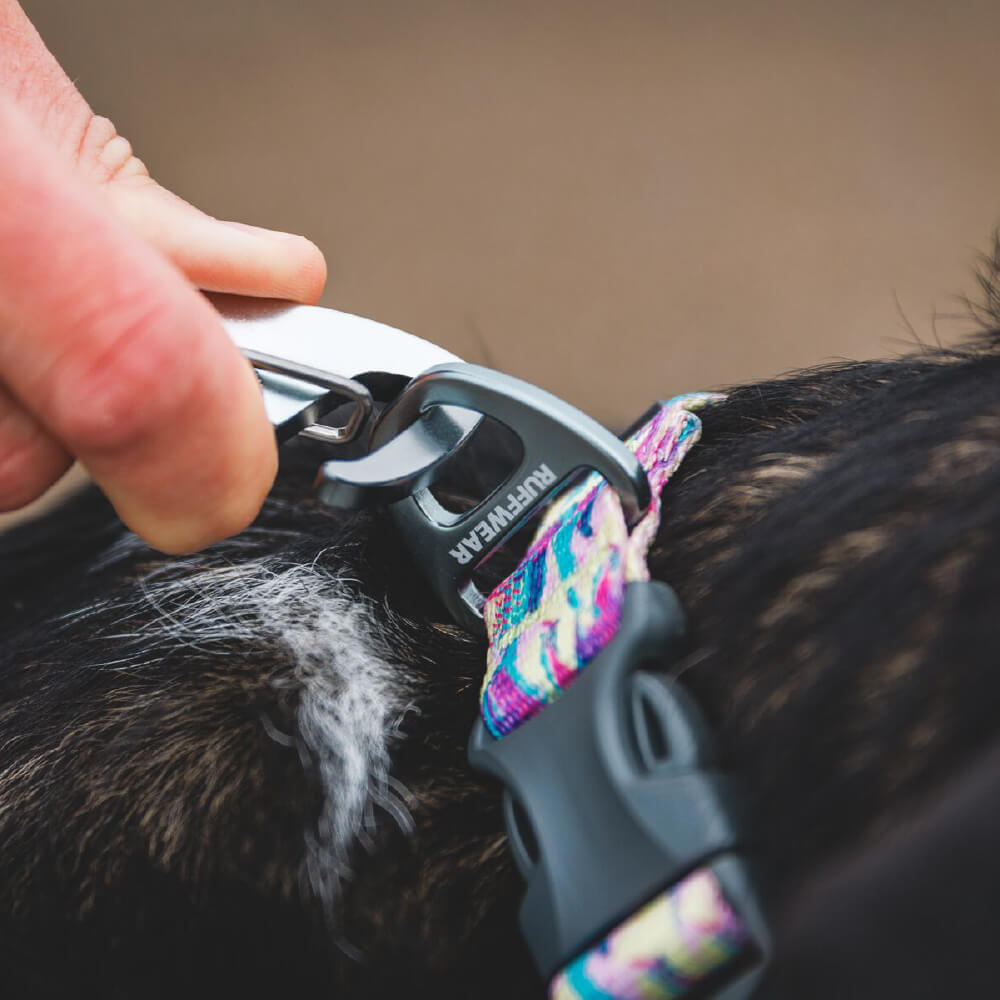 Ruffwear Front Range™ Dog Leash