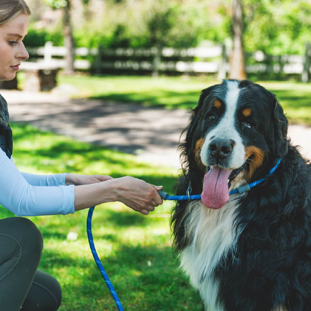 Ruffwear Just-a-Cinch™