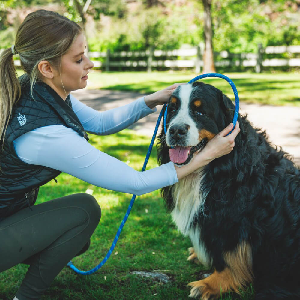 Ruffwear Just-a-Cinch™