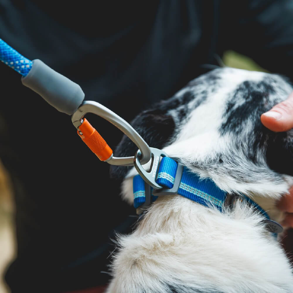 Ruffwear Knot-A-Leash™