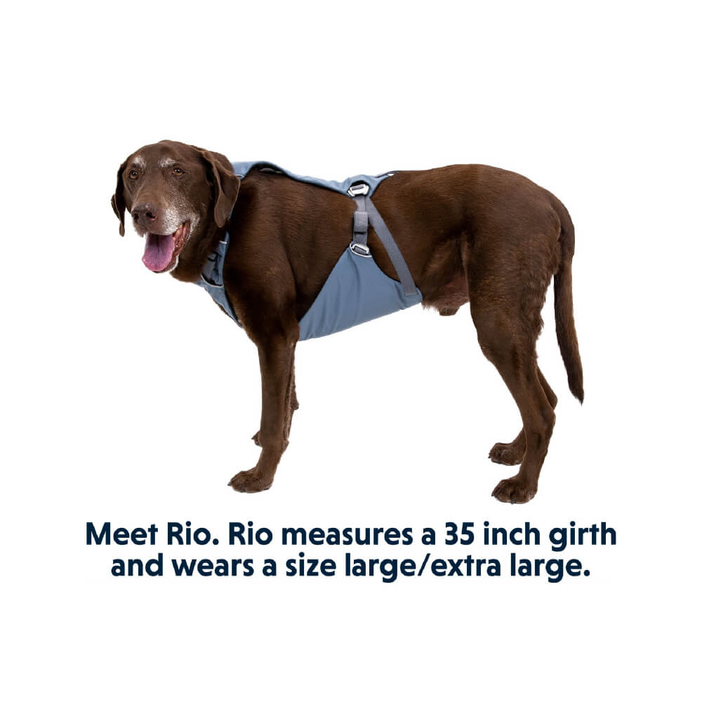 Ruffwear Load Up™ Car Safety Dog Harness