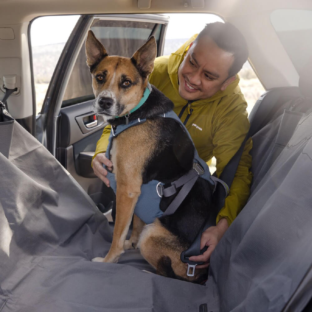 Ruffwear Load Up™ Car Safety Dog Harness