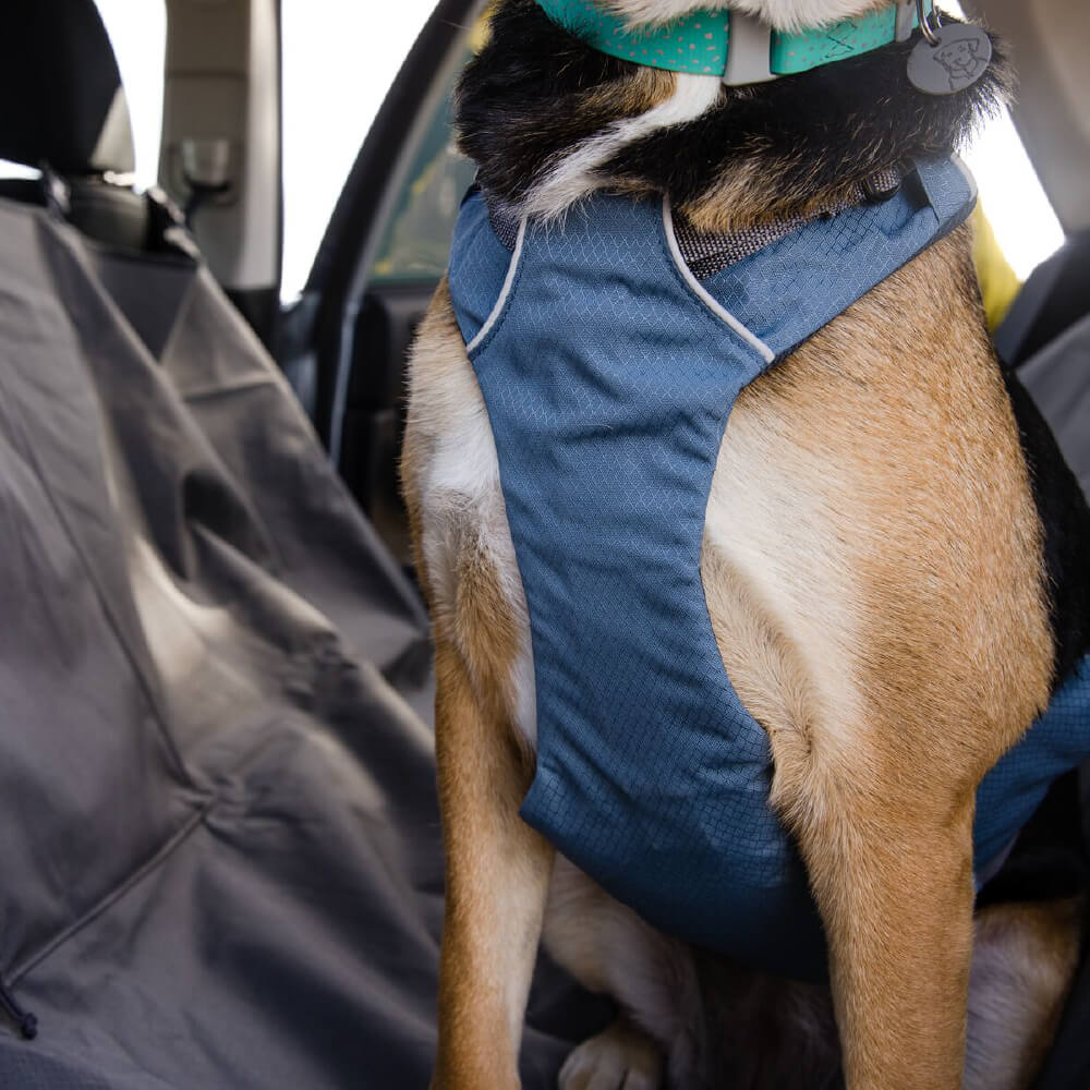 Ruffwear Load Up™ Car Safety Dog Harness