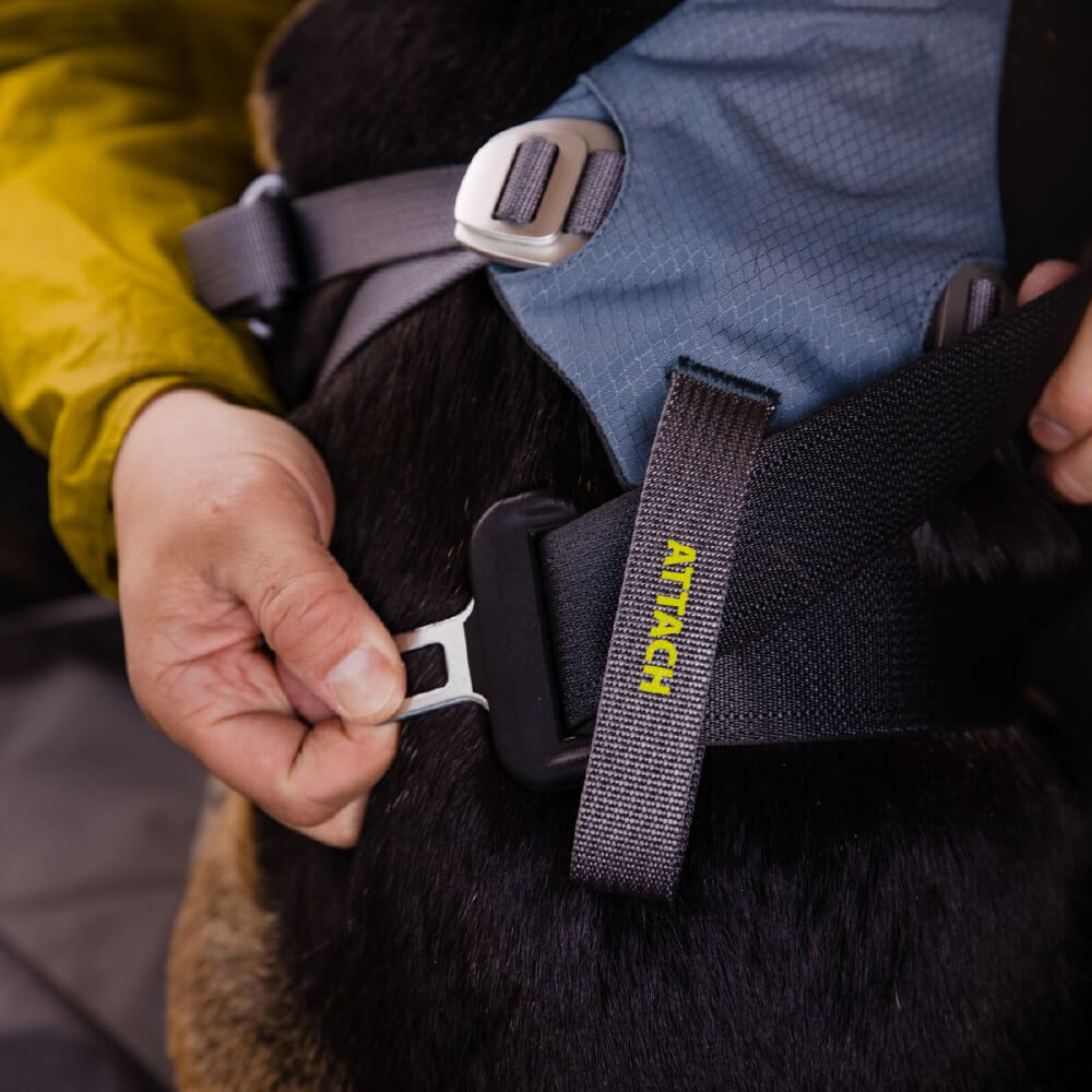 Ruffwear Load Up™ Car Safety Dog Harness