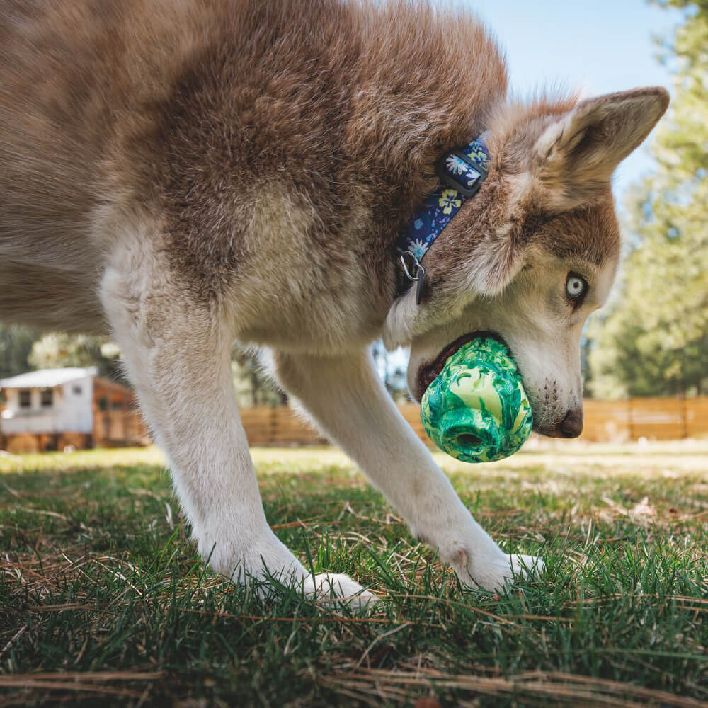 Ruffwear Morel™ Dog Toy