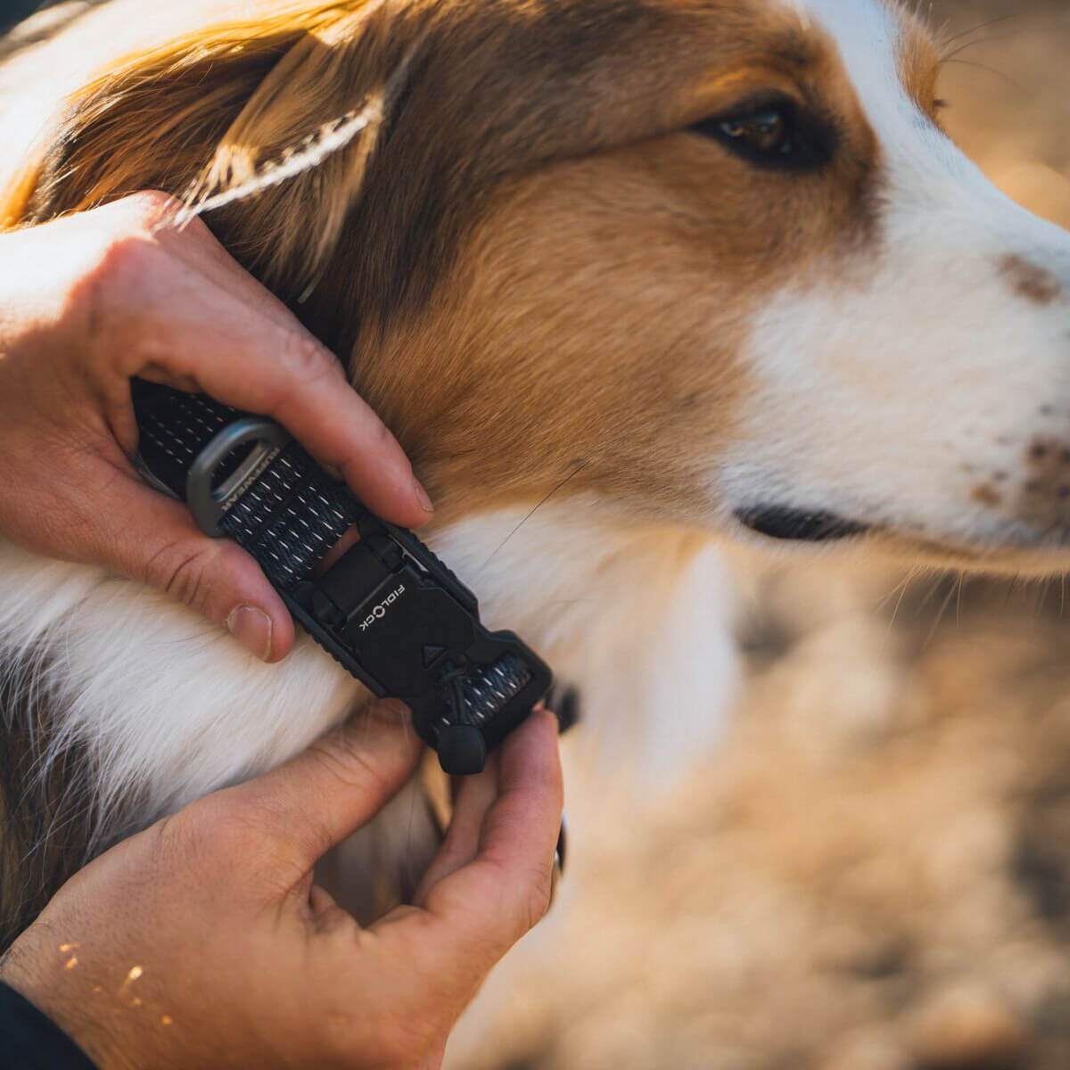 Ruffwear Ridgeline™ Dog Collar