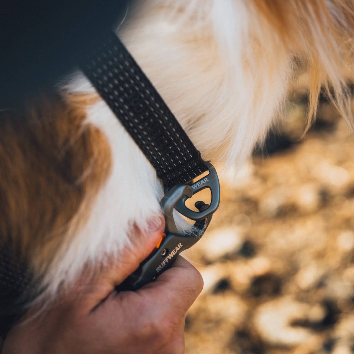 Ruffwear Ridgeline™ Dog Collar