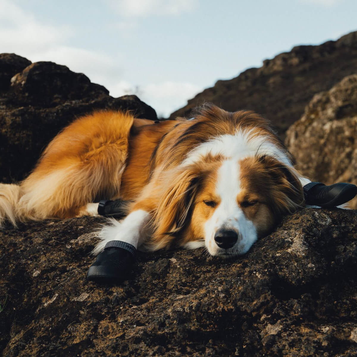 Ruffwear Ridgeline™ Dog Shoes | Set of 2