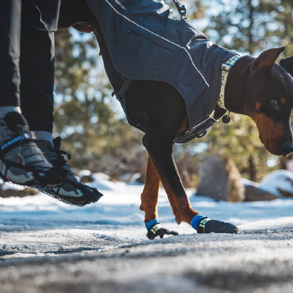 Ruffwear Summit Trex™ Dog Shoes | Set of 2