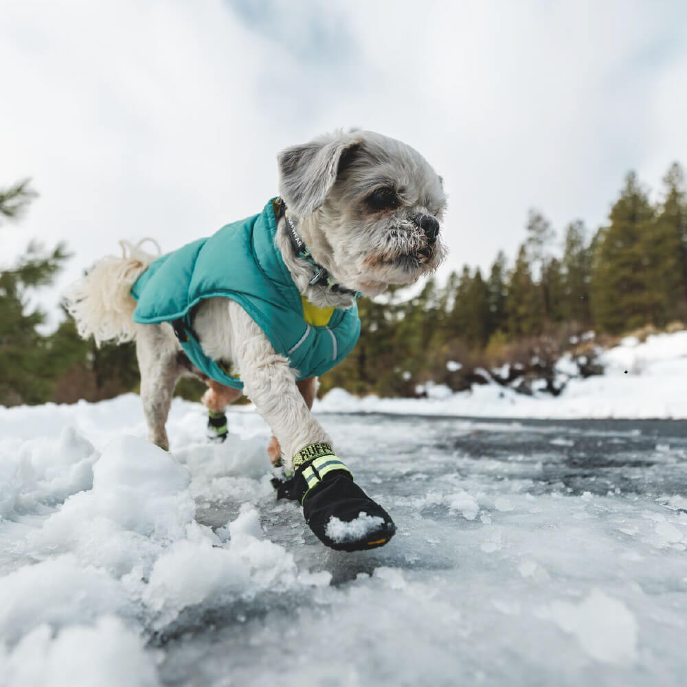 Ruffwear Summit Trex™ Dog Shoes | Set of 2