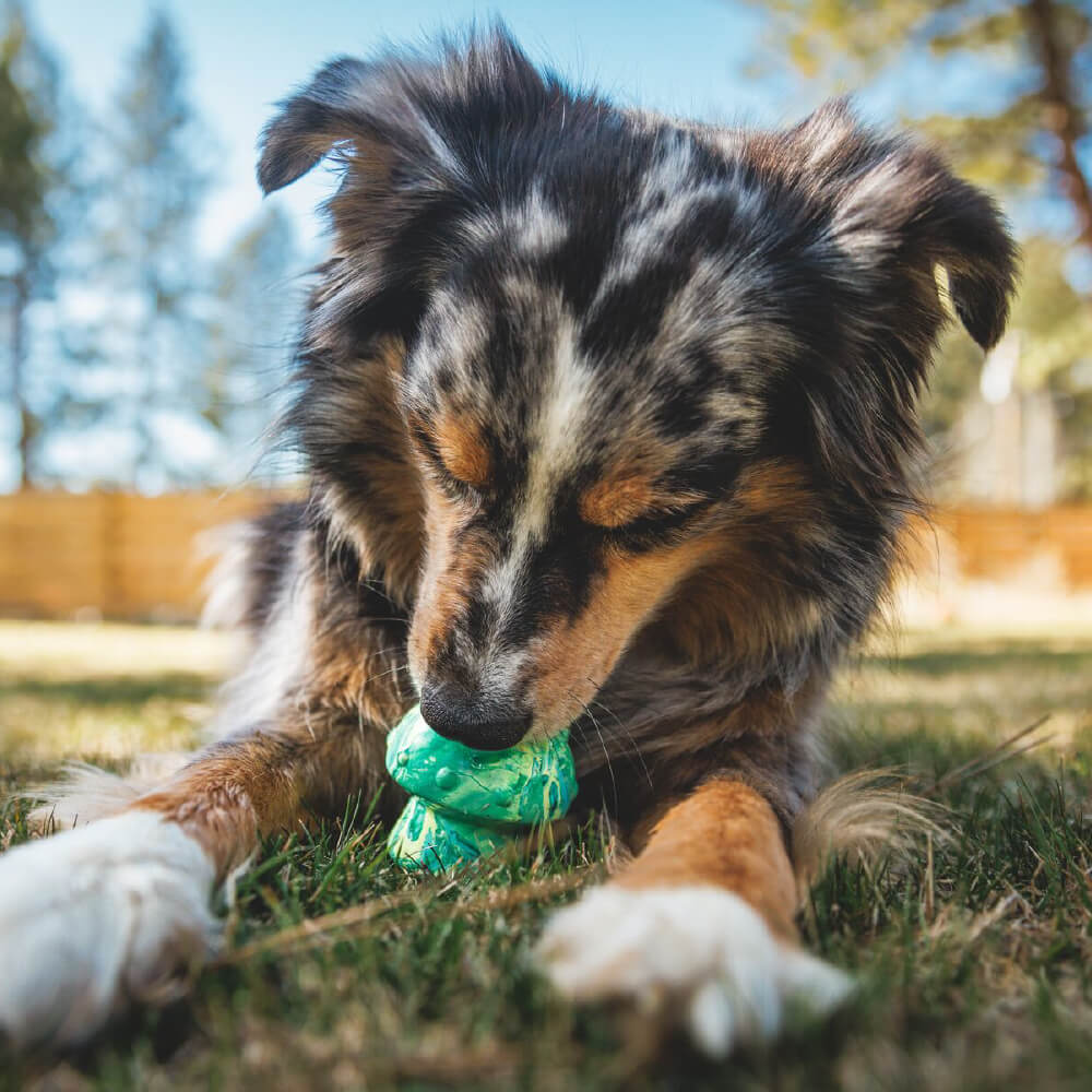 Ruffwear Toadstool™ Dog Toy