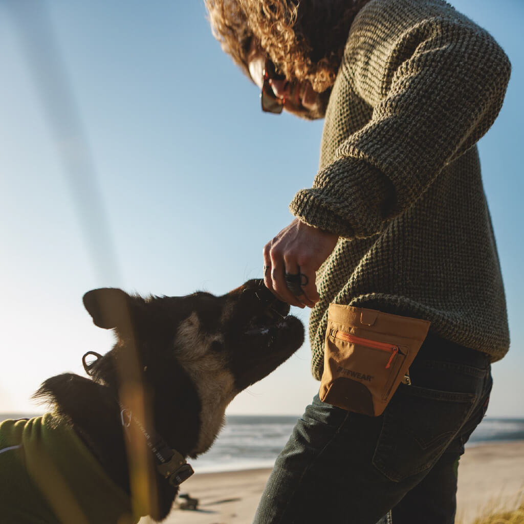 Ruffwear Treat Trader™ Training Treat Bag