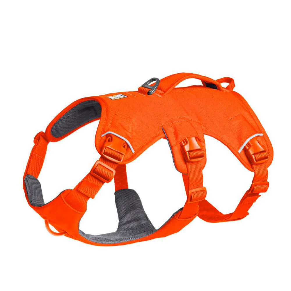 Ruffwear Web Master™ Dog Harness with Handle