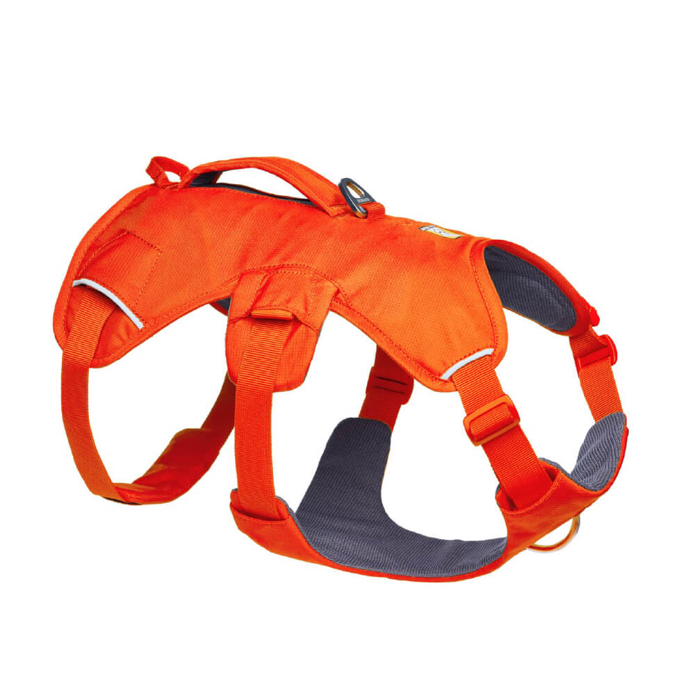 Ruffwear Web Master™ Dog Harness with Handle