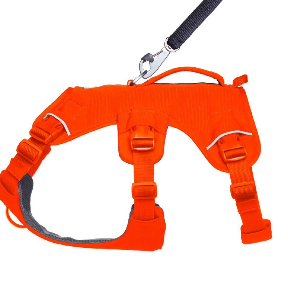 Ruffwear Web Master™ Dog Harness with Handle