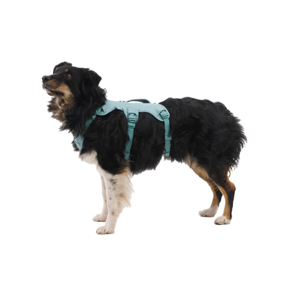 Ruffwear Web Master™ Dog Harness with Handle