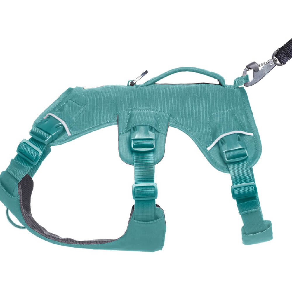 Ruffwear Web Master™ Dog Harness with Handle