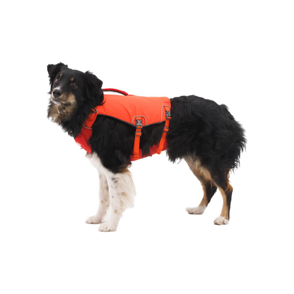 Ruffwear Web Master™ Dog Harness with Handle