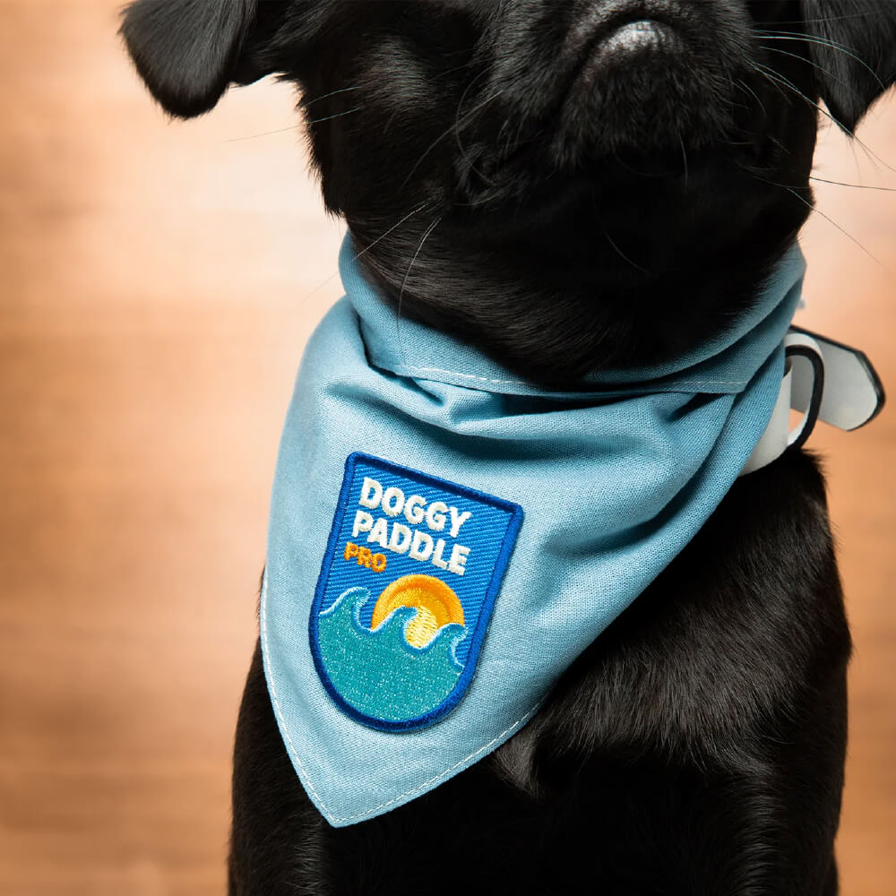 Scout's Honour Merit Badges for Dogs