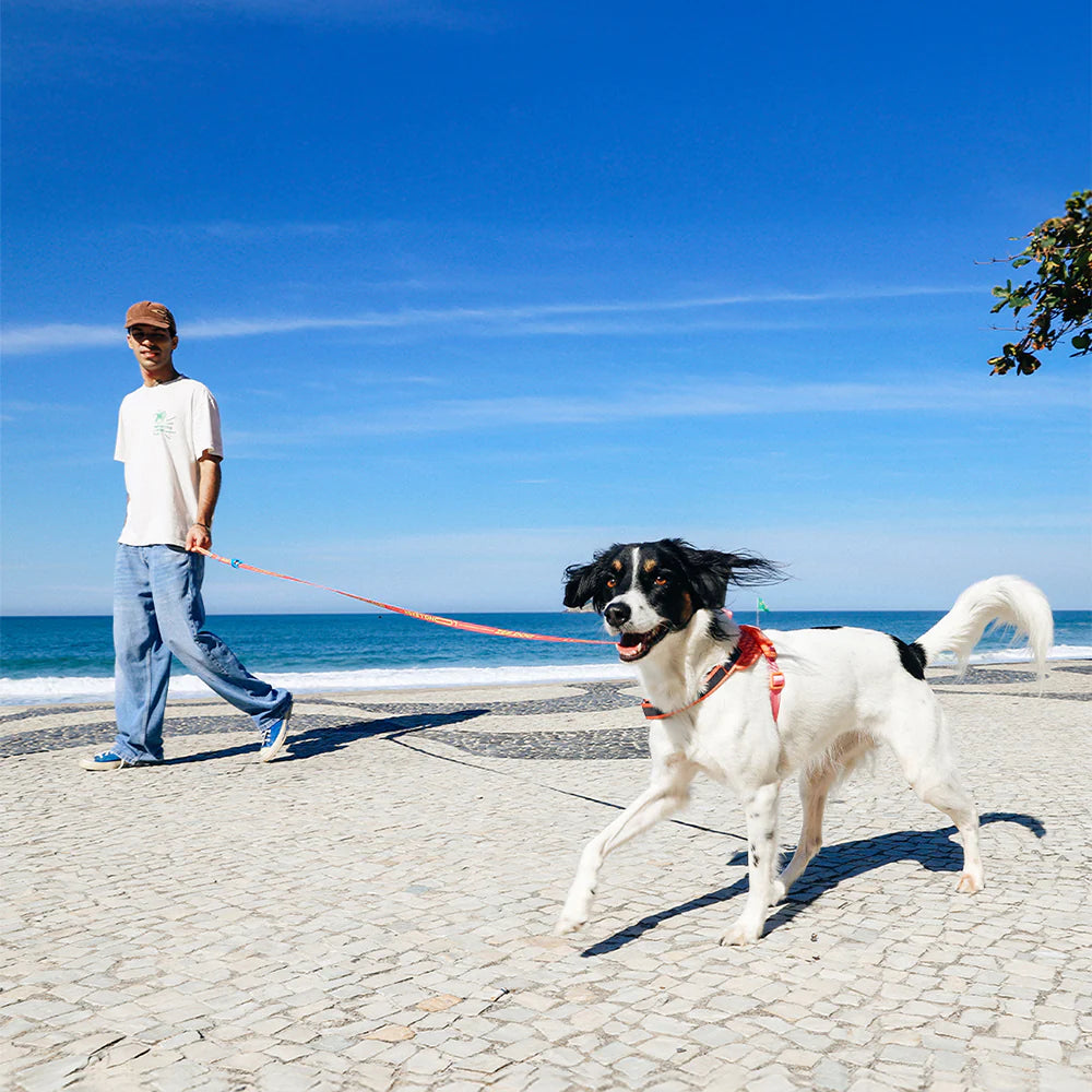 Zee.Dog Long Leash | Bossa Banana