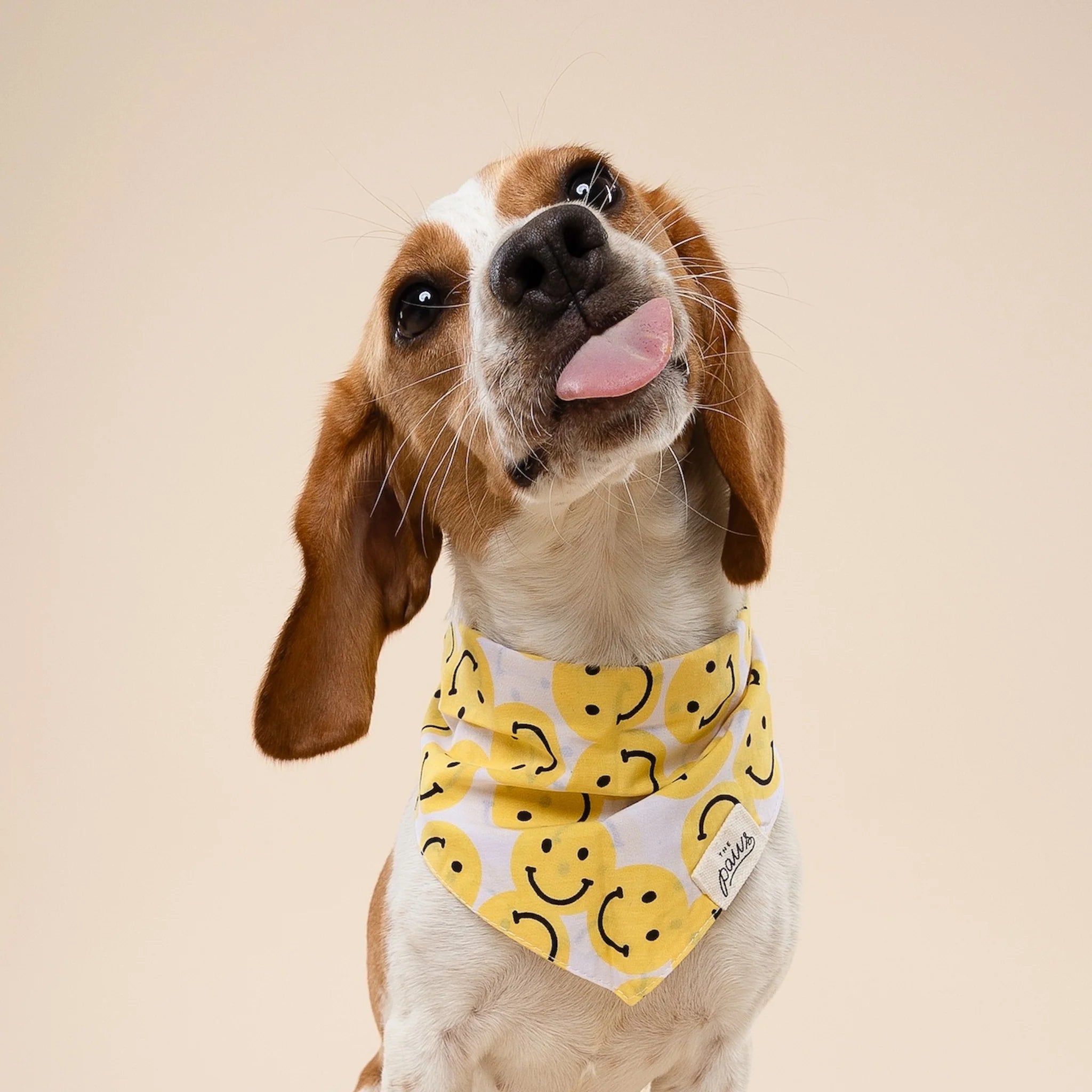 The Paws Bandana | Smile
