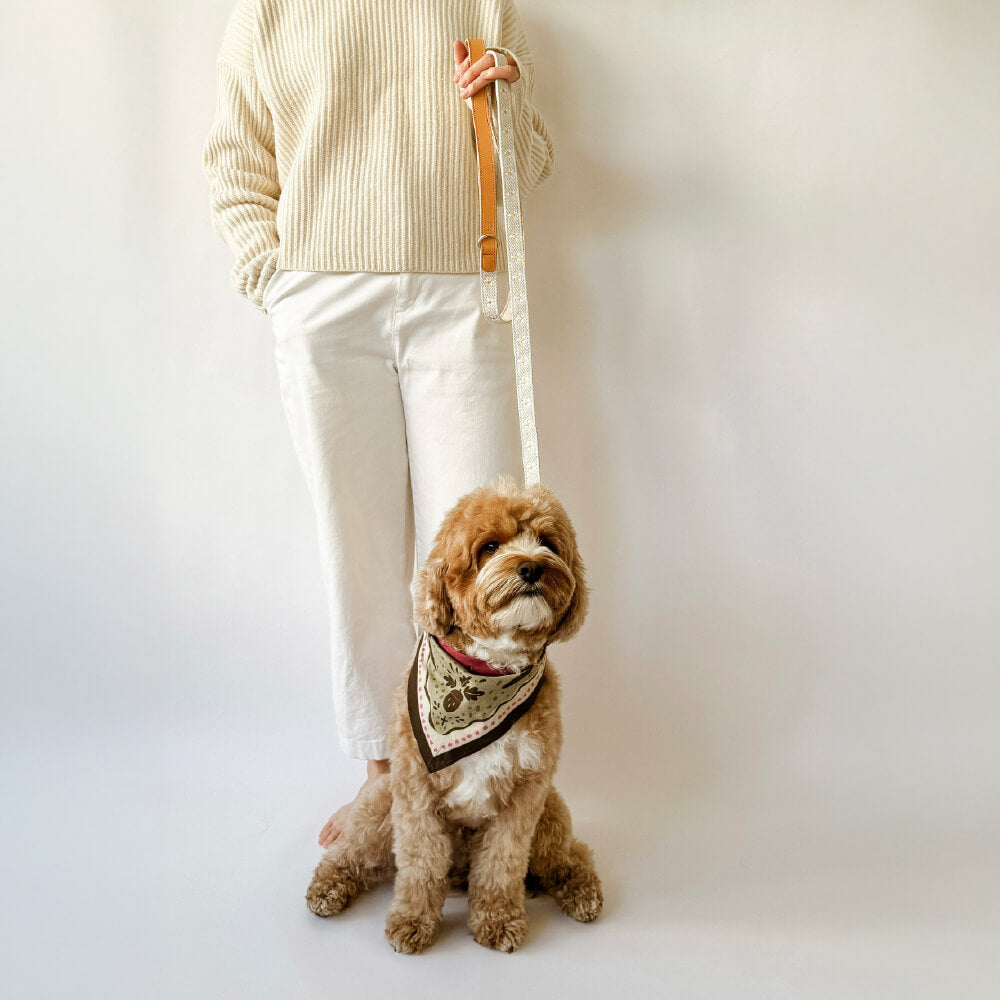 Som Studio Daisy Leash | Beige