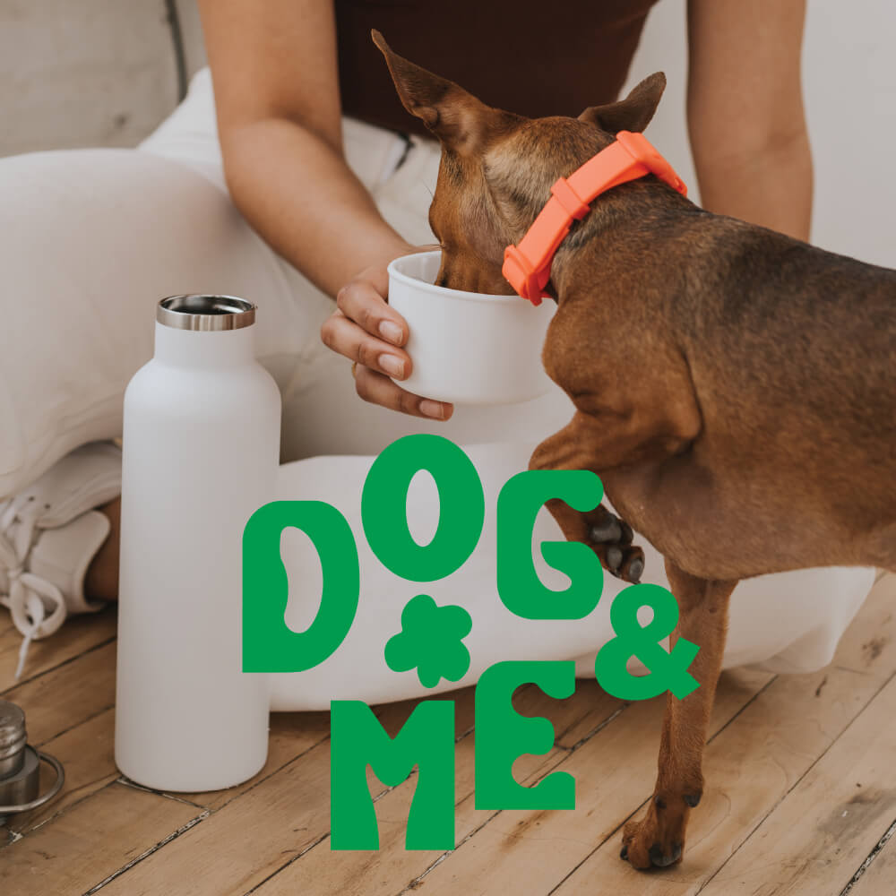 Springer Dog & Me Insulated Water Bottle (680ml)