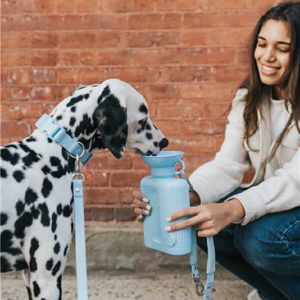 Springer Growler Dog Travel Water Bottle