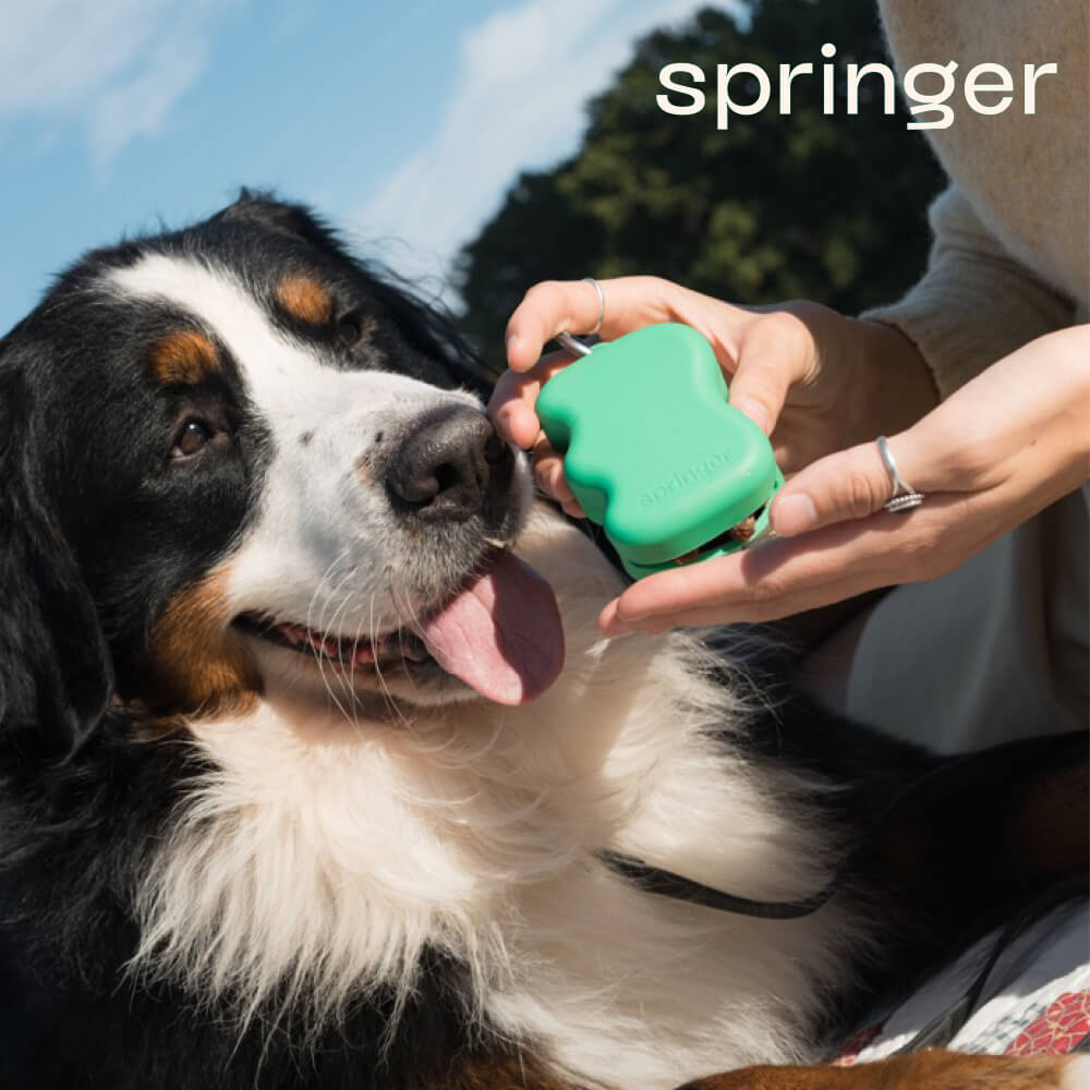 Springer Silicone Dog Treat Dispenser