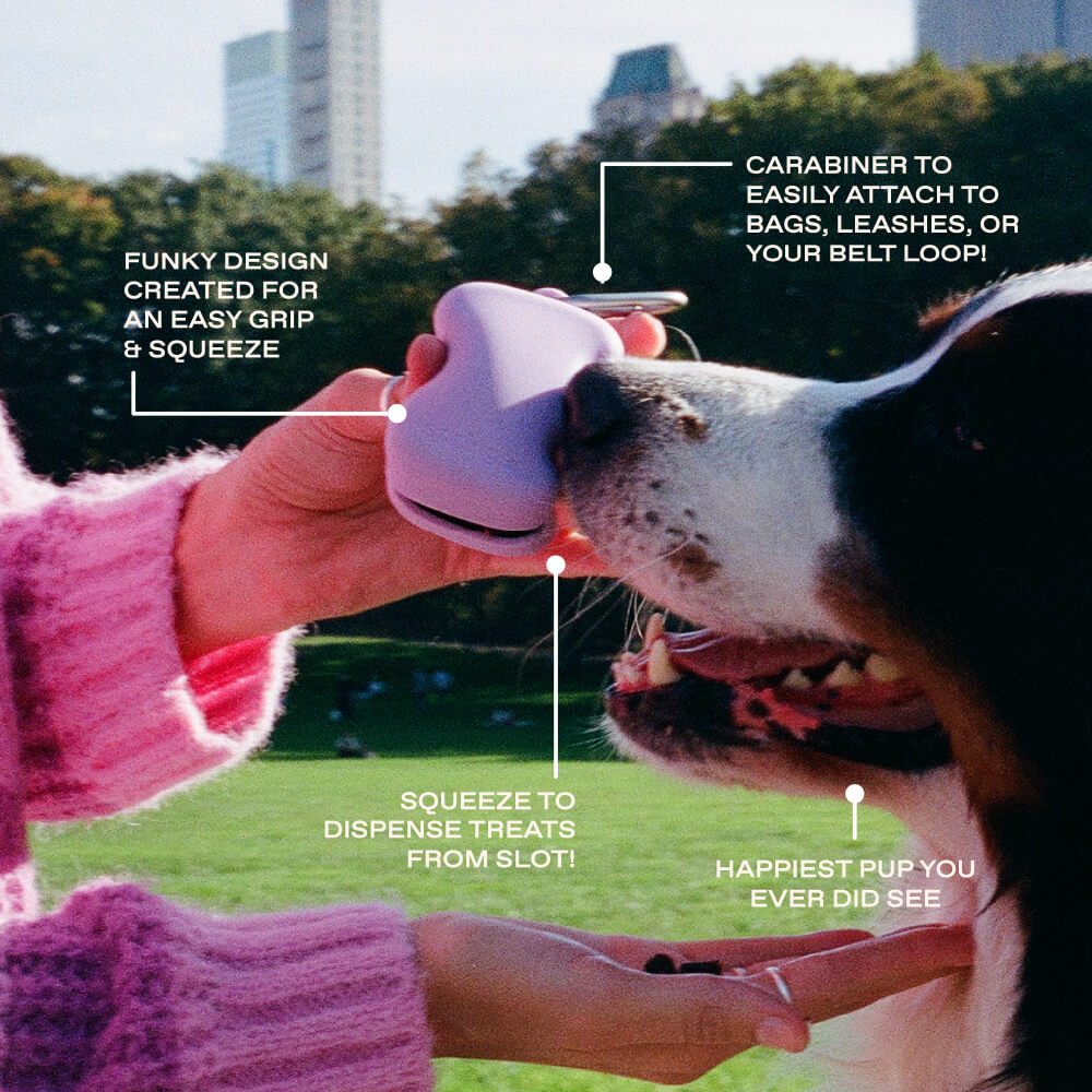 Springer Silicone Dog Treat Dispenser