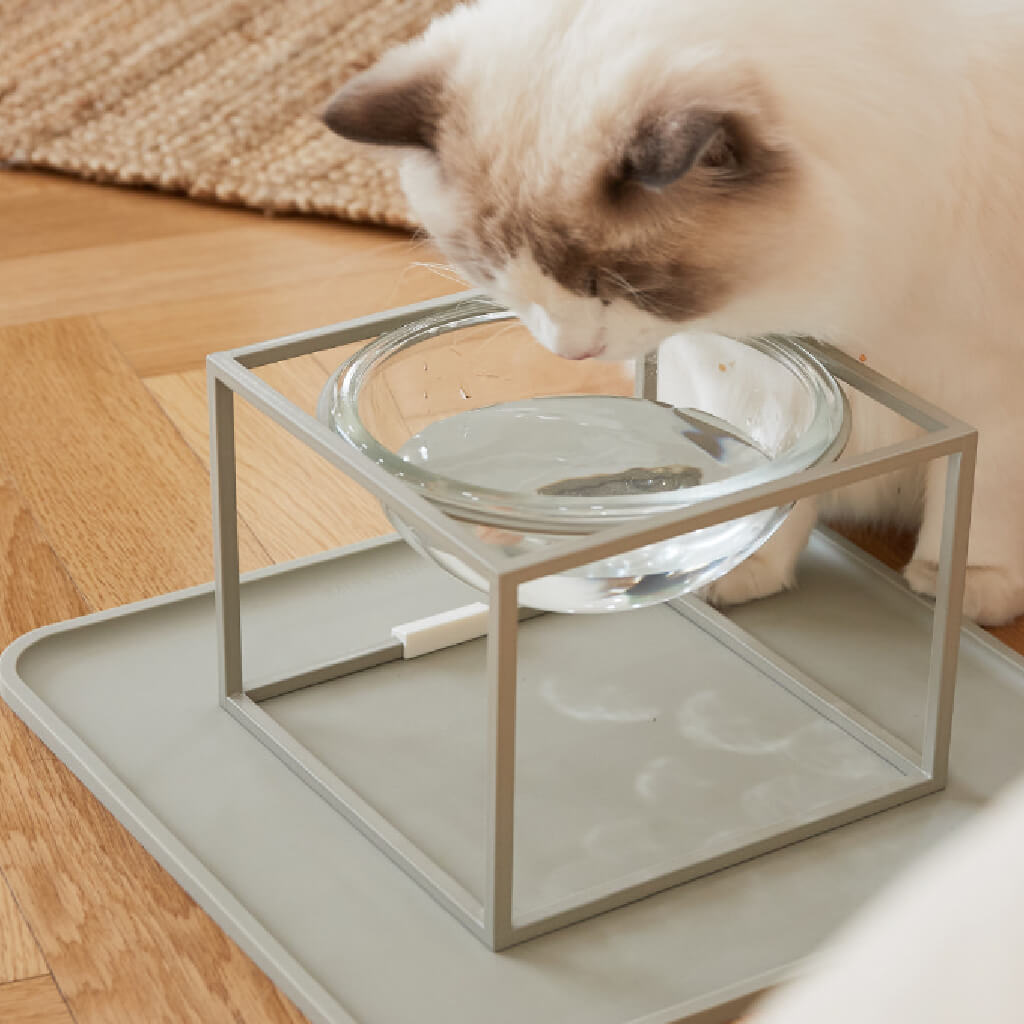 Studio Alive Glass Bowl