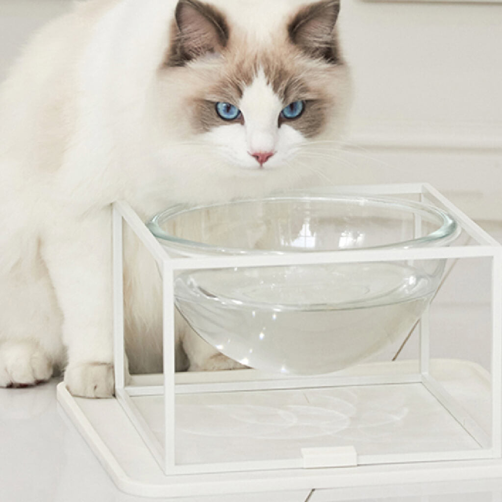 Studio Alive Moonlight Tableware | White