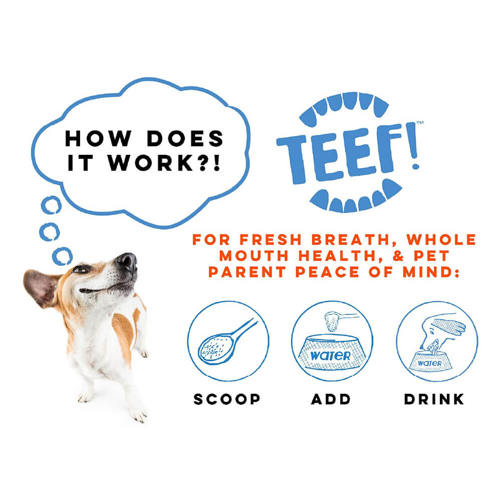 TEEF! Daily Dog Dental Care Regimen