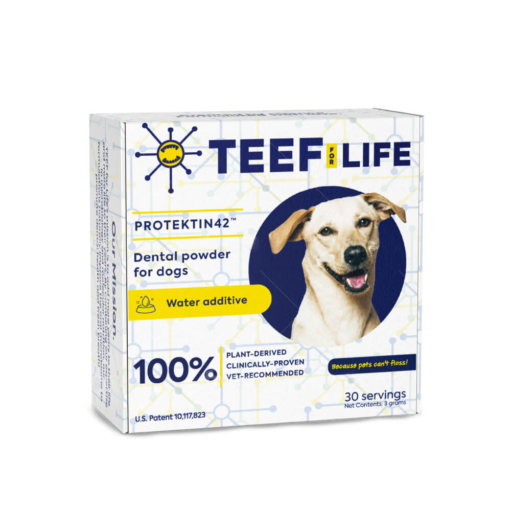 TEEF! Daily Dog Dental Care Regimen