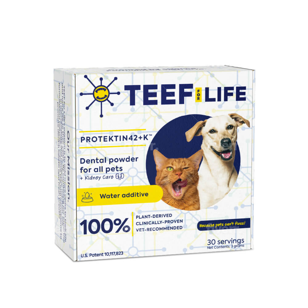 TEEF! Daily All Pets Dental Care Regimen