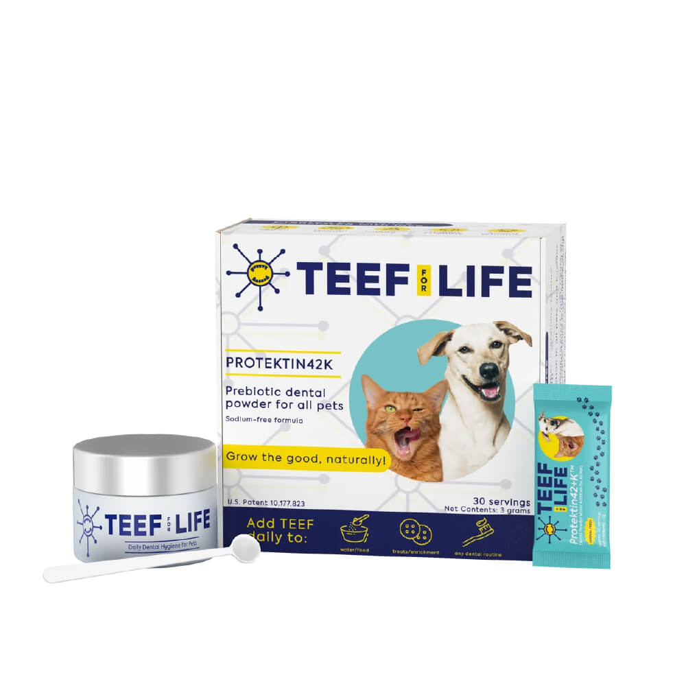 TEEF! Daily All Pets Dental Care Regimen