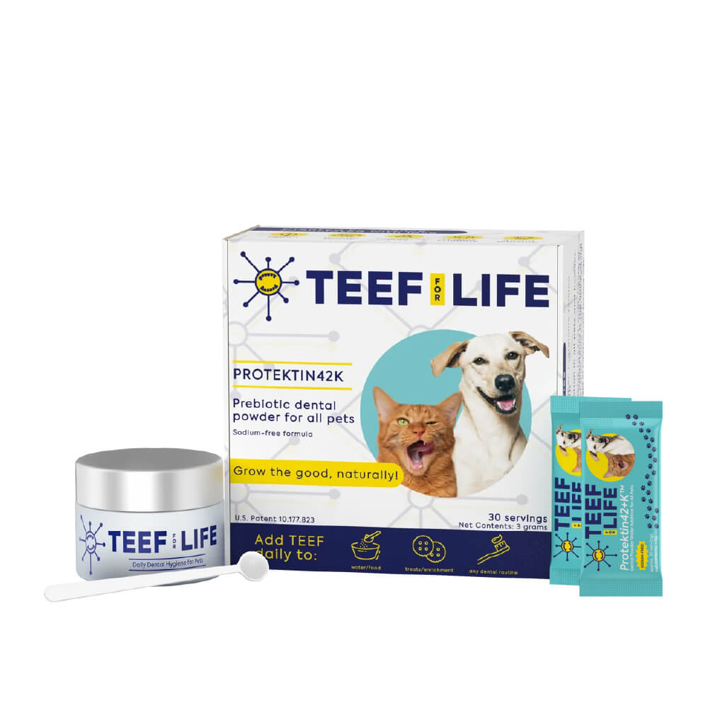 TEEF! Daily All Pets Dental Care Regimen