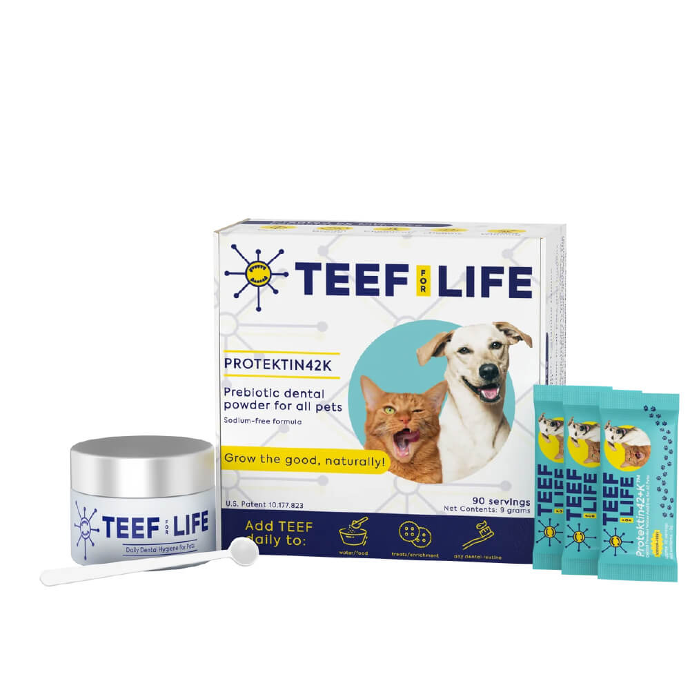 TEEF! Daily All Pets Dental Care Regimen