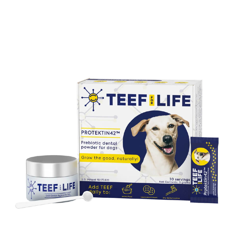 TEEF! Daily Dog Dental Care Regimen