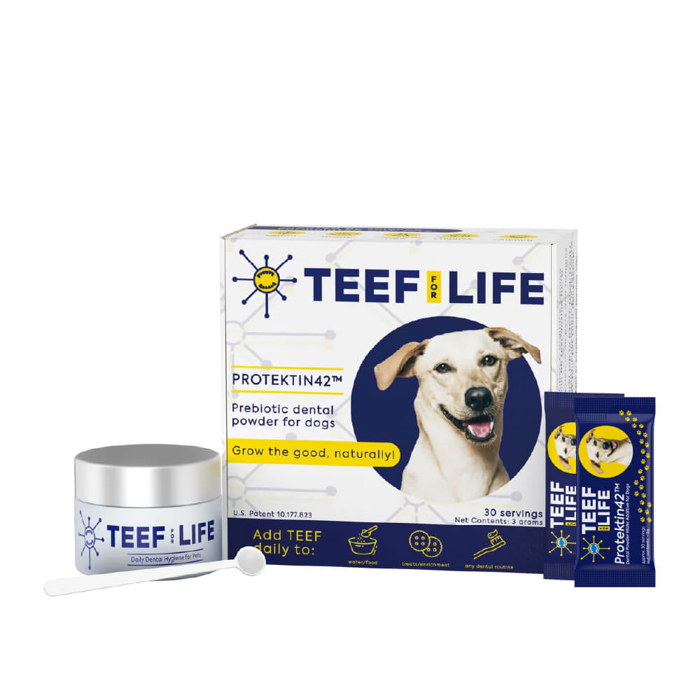 TEEF Daily Dog Dental Care Regimen