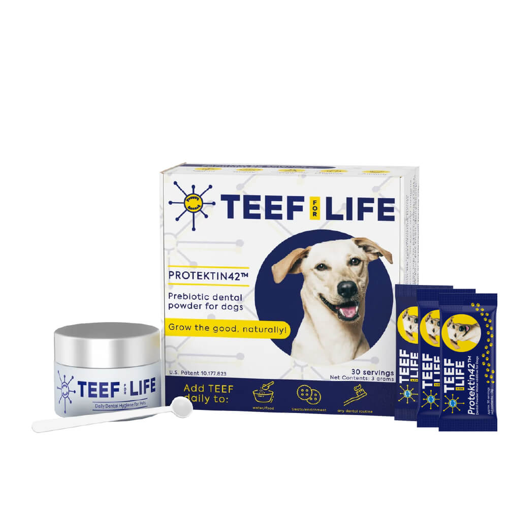 TEEF! Daily Dog Dental Care Regimen