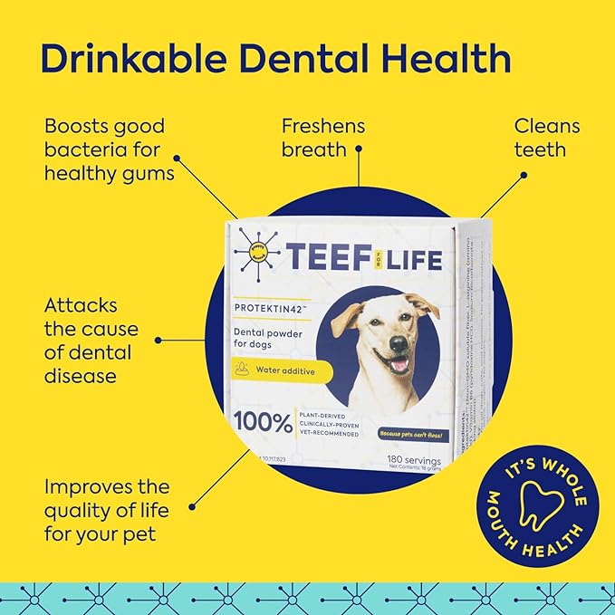 TEEF! Daily Dog Dental Care Regimen