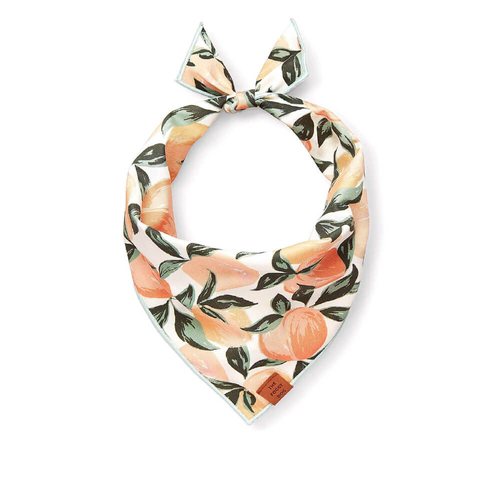 The Foggy Dog Peaches & Cream Bandana