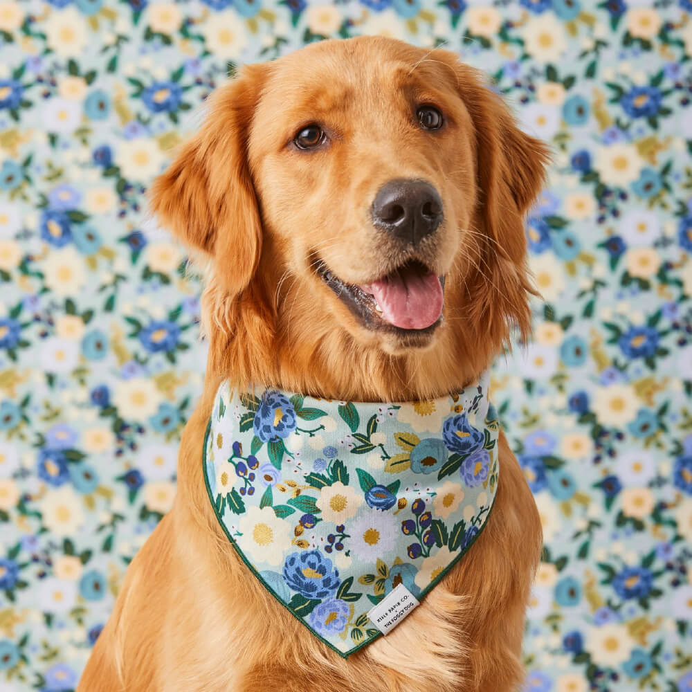 The Foggy Dog x Rifle Paper Co. Vintage Blossom Bandana